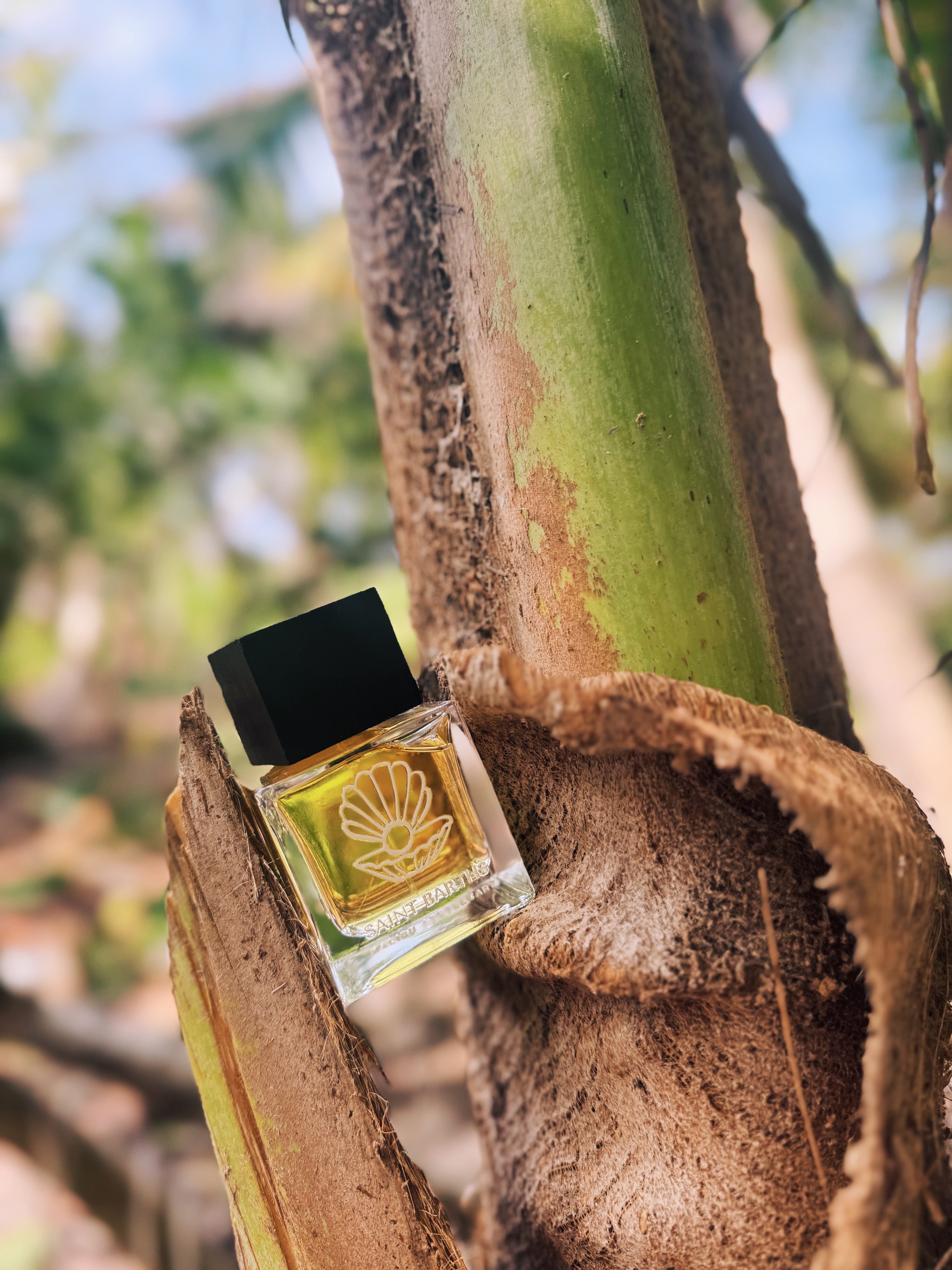 Malibu Apothecary 50mL roller parfum bottle with clear glass and floral scent illustration on the label.