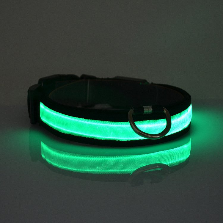 LED Light Up Dog Collar Fuchsia Molly