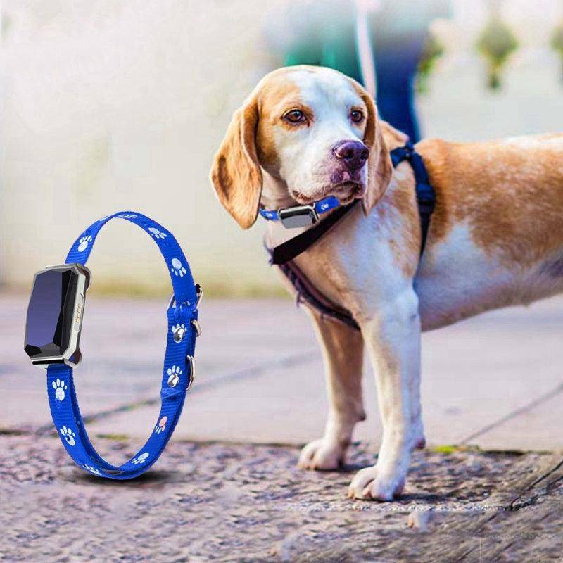 Smartpaws Gps Pet Tracker White Diomedes