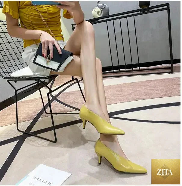 LadyShow.Store vintage women's high heel pumps with pointed toe, V-cut design, perfect for elegant autumn evening outfits.