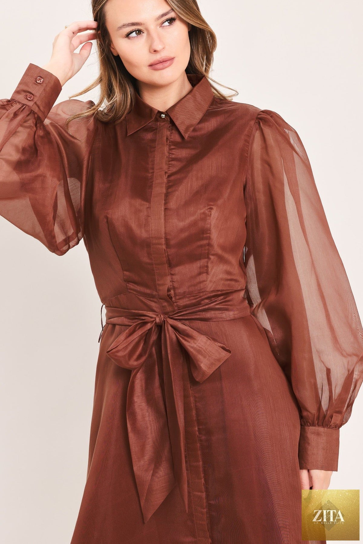 Flying Tomato Cedarlight Embrace woven organza maxi dress in brown, featuring flowing fabric and elegant design.