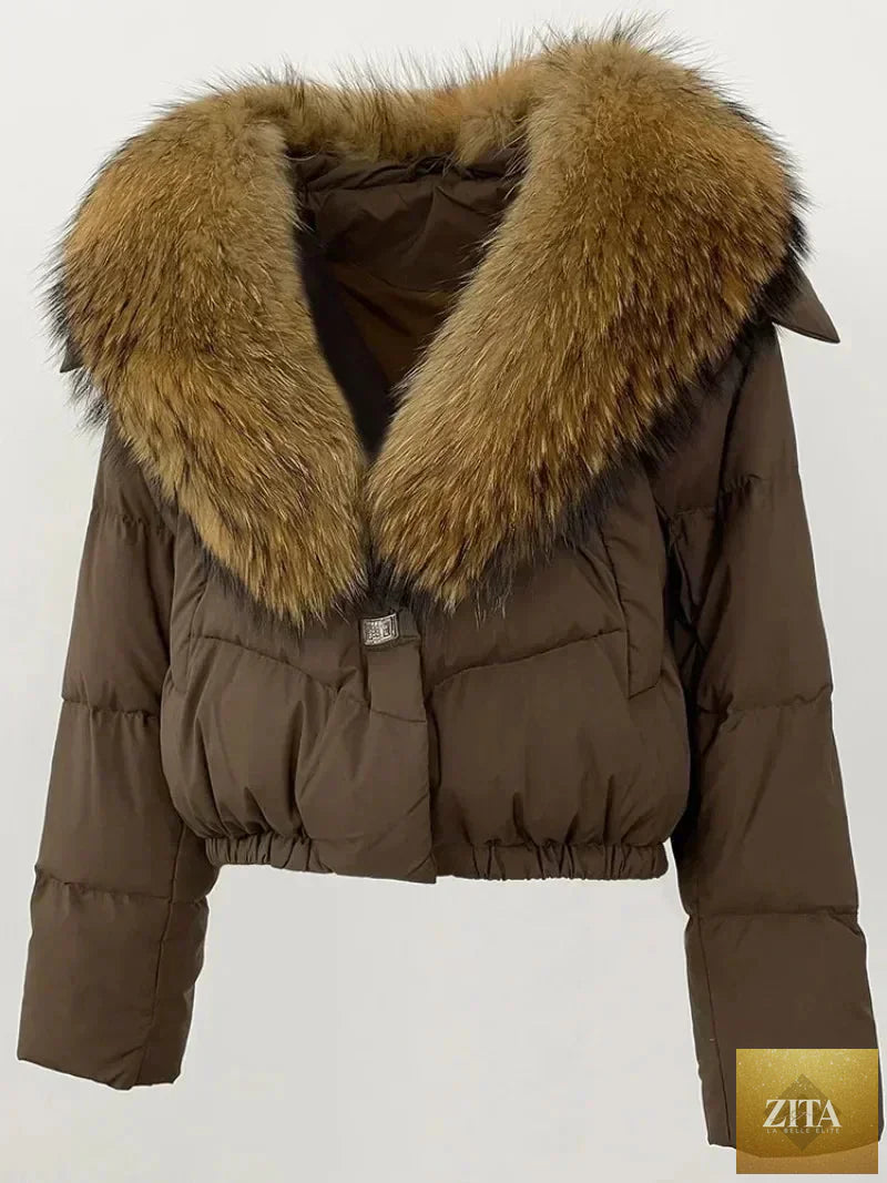 Down Jacket Women Short Puffer Jacket Thick New Big Natural Real Fox Fur Coat Autumn Winter Female White Duck Down Coat Feather