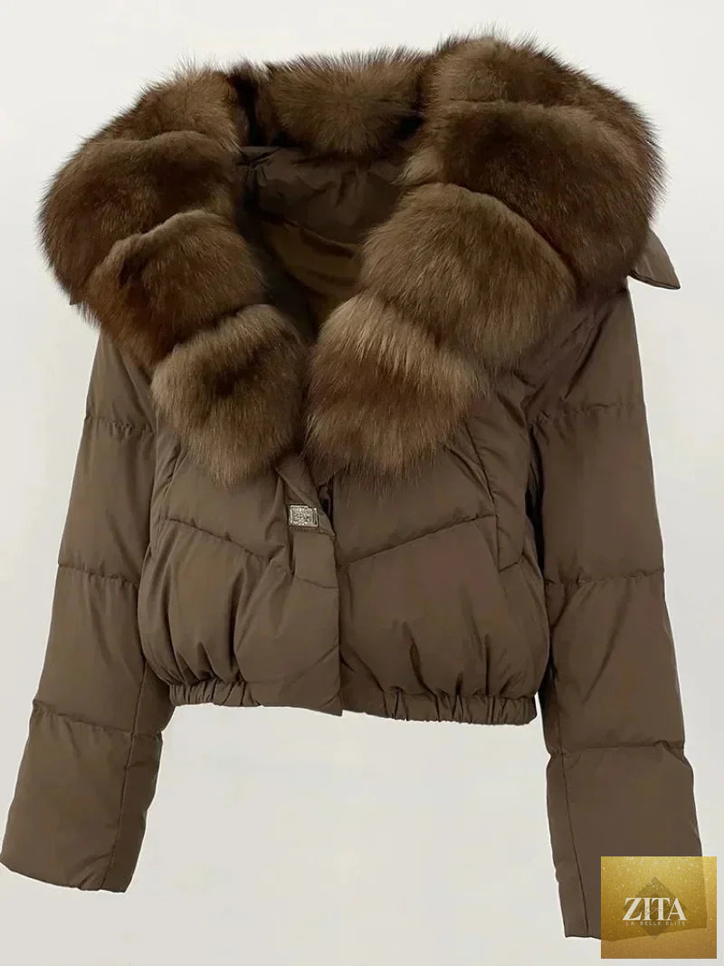Down Jacket Women Short Puffer Jacket Thick New Big Natural Real Fox Fur Coat Autumn Winter Female White Duck Down Coat Feather