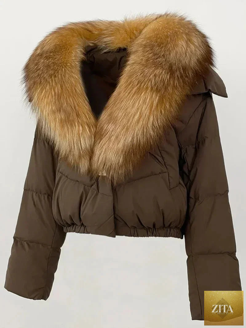 Down Jacket Women Short Puffer Jacket Thick New Big Natural Real Fox Fur Coat Autumn Winter Female White Duck Down Coat Feather