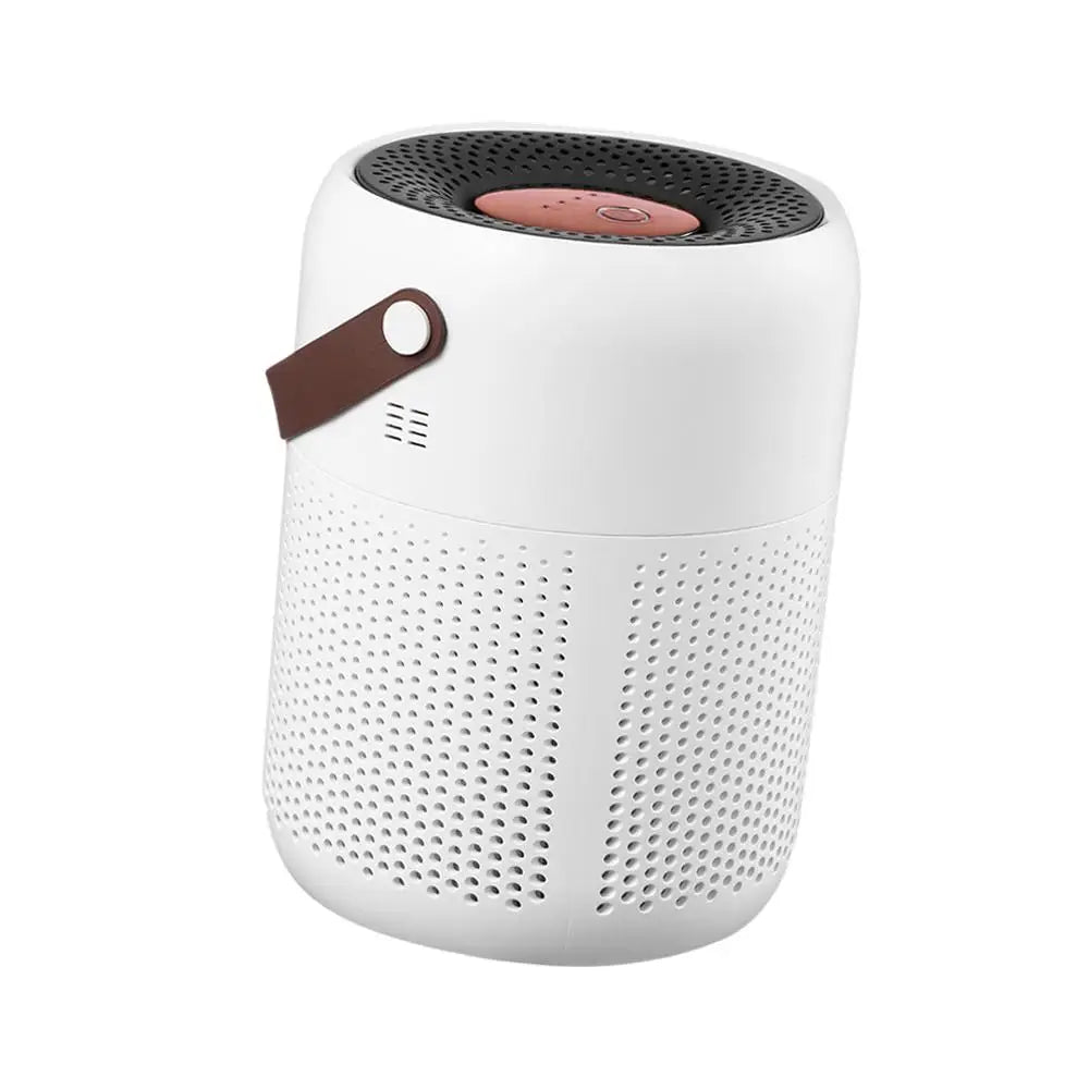Air Purifier with True HEPA Filters Adjustable Modes Protable for Maroon Asteria