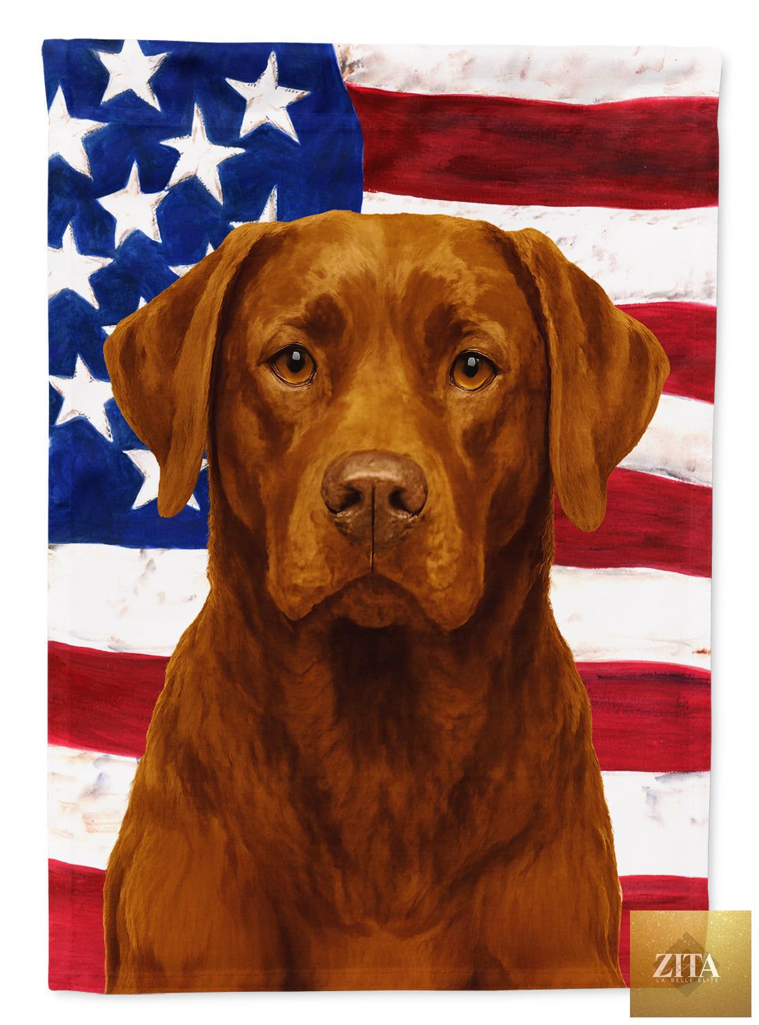 Colorful chocolate Labrador Retriever American flag garden flag with mailbox design, outdoor yard banner for garden or flower beds.