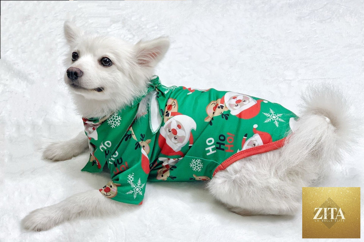 Family matching Christmas pajamas featuring Santa Claus and sleepwear by FitiqueFit, perfect for holiday family photos.