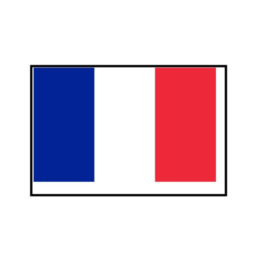 Drapeau de la France – Taille S – 10 Œillets – Polyester Résistant
