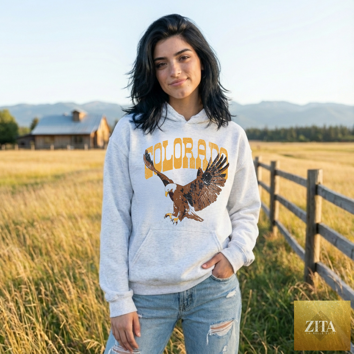Colorado Eagle hoodie by Hey Jude Graphic Tees featuring a western eagle graphic on vintage-inspired Americana sweatshirt.