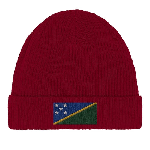 Bonnet en coton Drapeau des Salomon Amethyst Clover