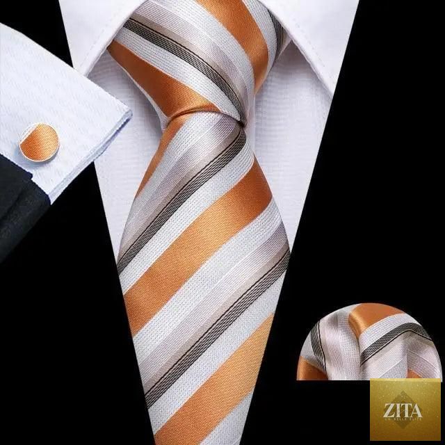 Stevvex luxury men's silk necktie set featuring elegant design, suitable for weddings, parties, and business casual attire.