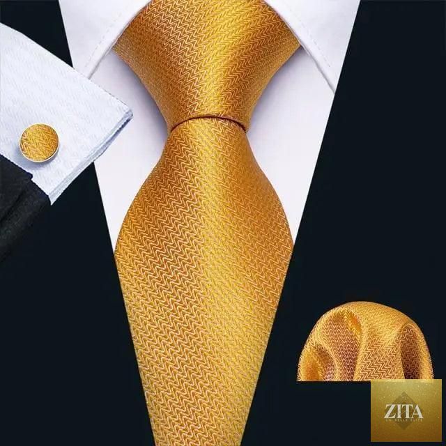 Elegant men's silk necktie set by Stevvex featuring a stylish, soft business casual tie for weddings, parties, and formal occasions.