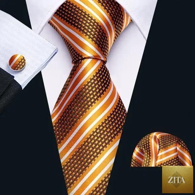 Elegant men's silk necktie set by Stevvex featuring stylish design, perfect for weddings, parties, and formal business attire.