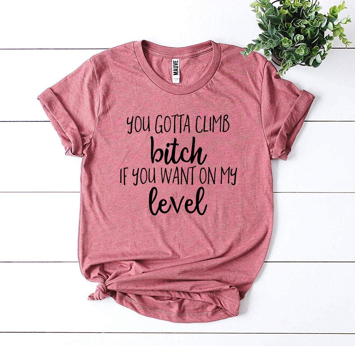 Climb Bitch If You Want On My Level T-shirt Agate