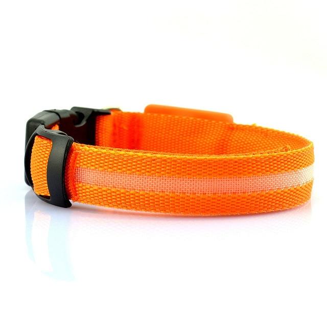 USB RECHARGEABLE LED PET DOG COLLAR Teal Zeus