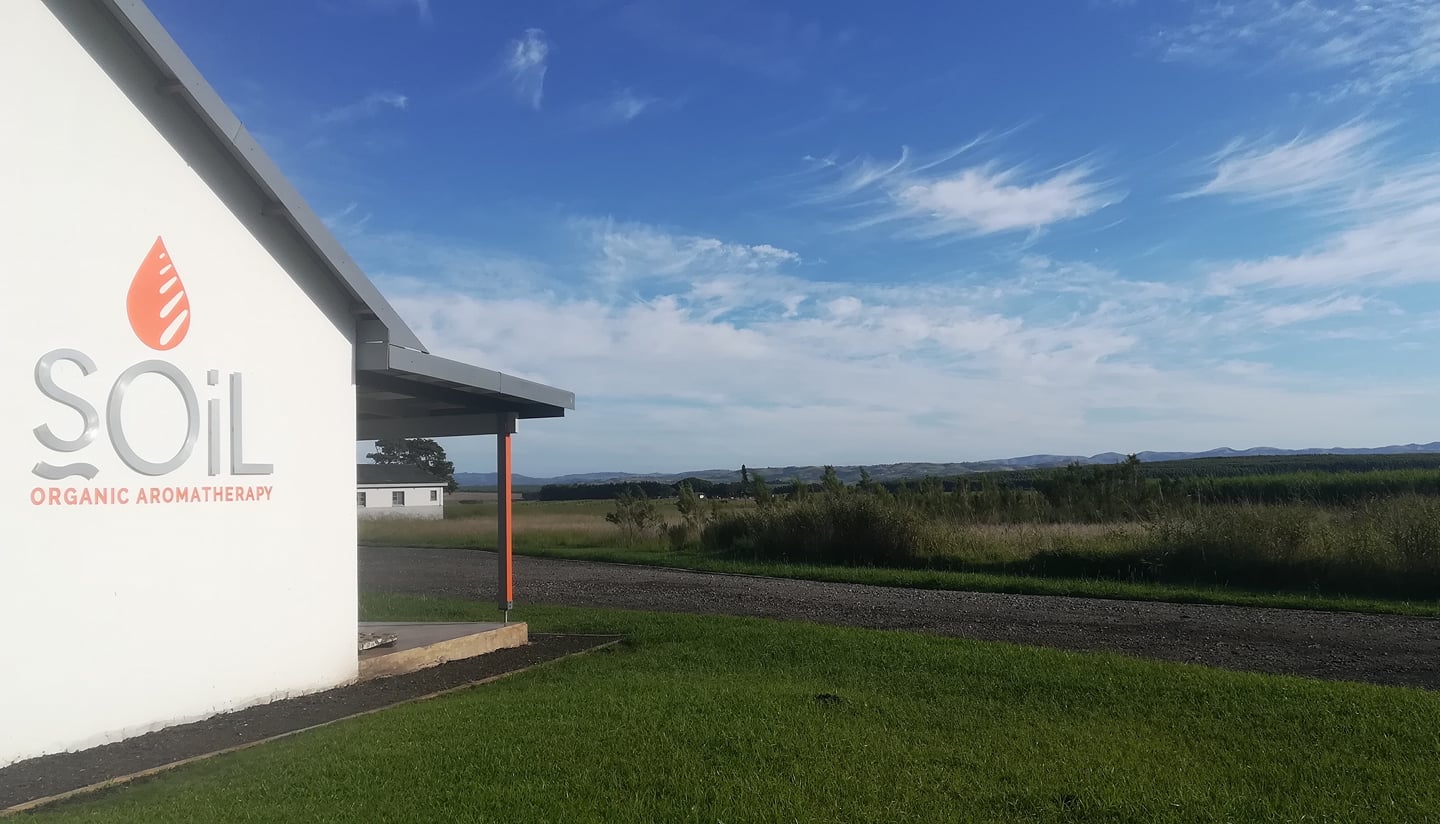 Organic Clary Sage Essential Oil (Salvia Sclarea ) 10ml Ivory Iphigenia