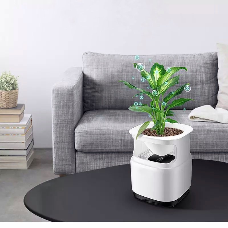 Air Purifier & Plant Stand Fuchsia Molly