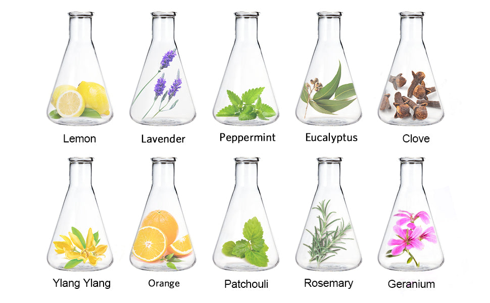 LagunaMoon Aroma Diffuser with Essential Oils Gift 10 Set Kit Teal Simba