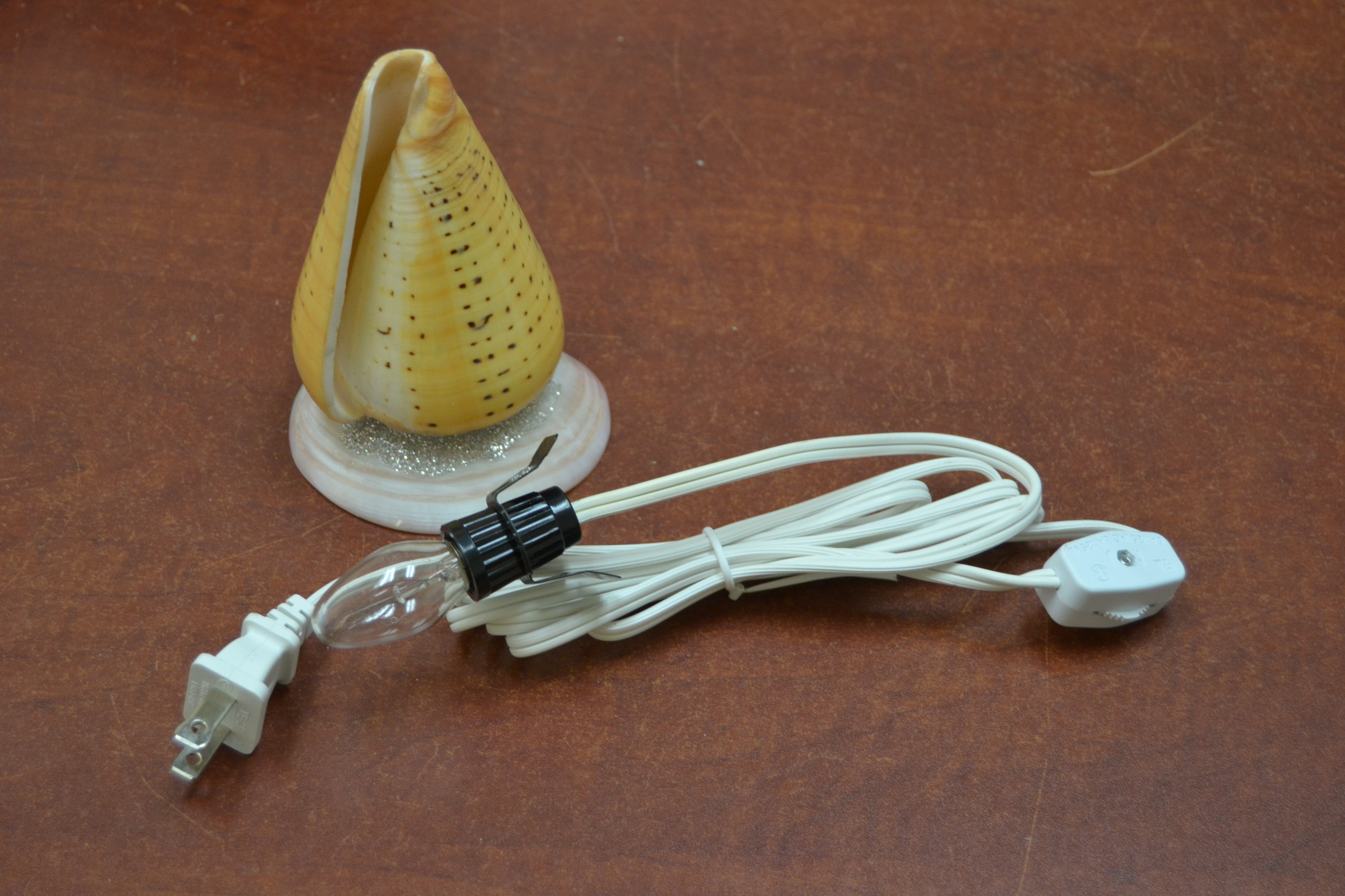 Spotted Orange Cone Sea Shell Table Lamp Grey Aphrodite