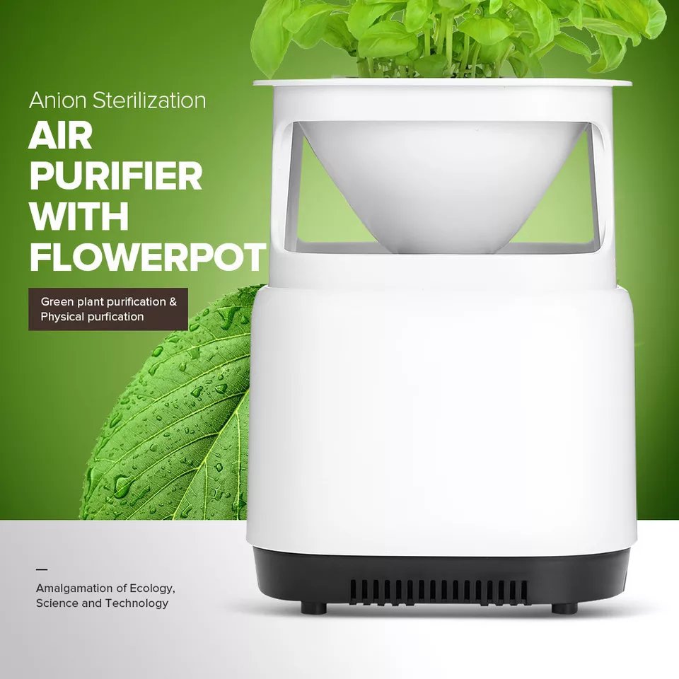 Air Purifier & Plant Stand Fuchsia Molly