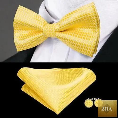 Stevvex silk butterfly bow tie, pocket square, and cufflinks set for men, ideal for formal weddings and office wear.