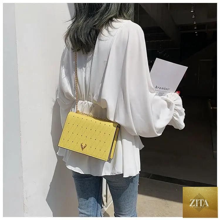Elegant Stevvex genuine leather crossbody bag with designer chain strap, modern luxury style for women and girls.