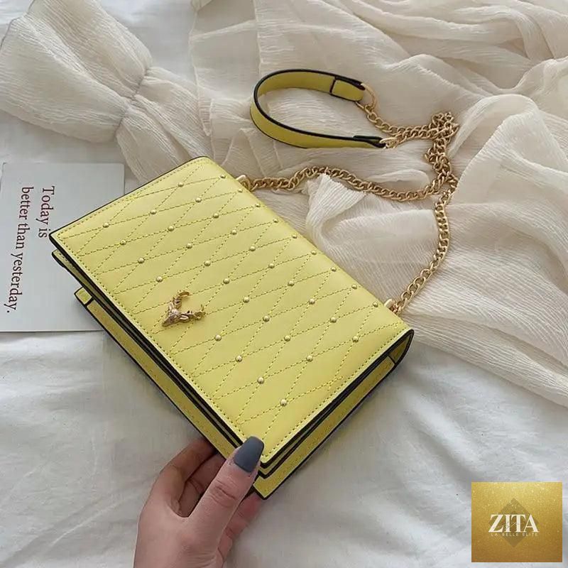 Elegant Stevvex genuine leather crossbody bag with designer chain strap, modern and luxurious for women and girls.