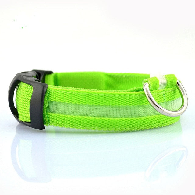 2 PCS Set Nylon LED Dog Collar Yellow Pandora