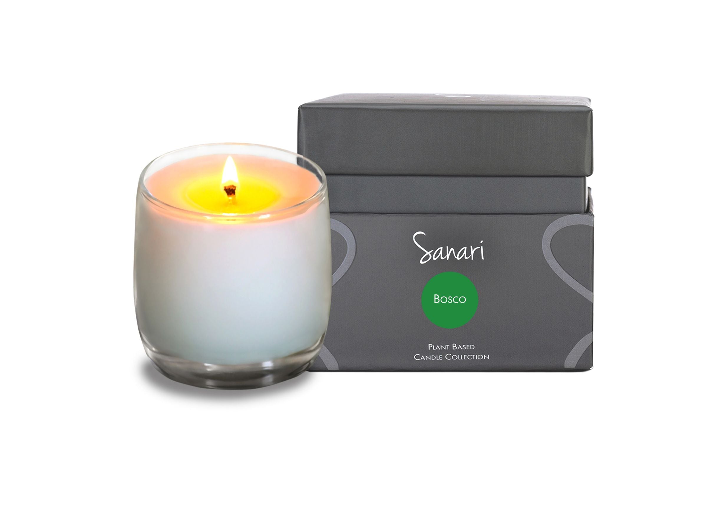 Bosco - Pine, Douglas Fir, Mint White Oceanus