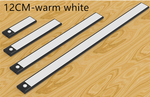 Smart Motion LED Cabinet Light USB Charging Closet Night Lamp For Home