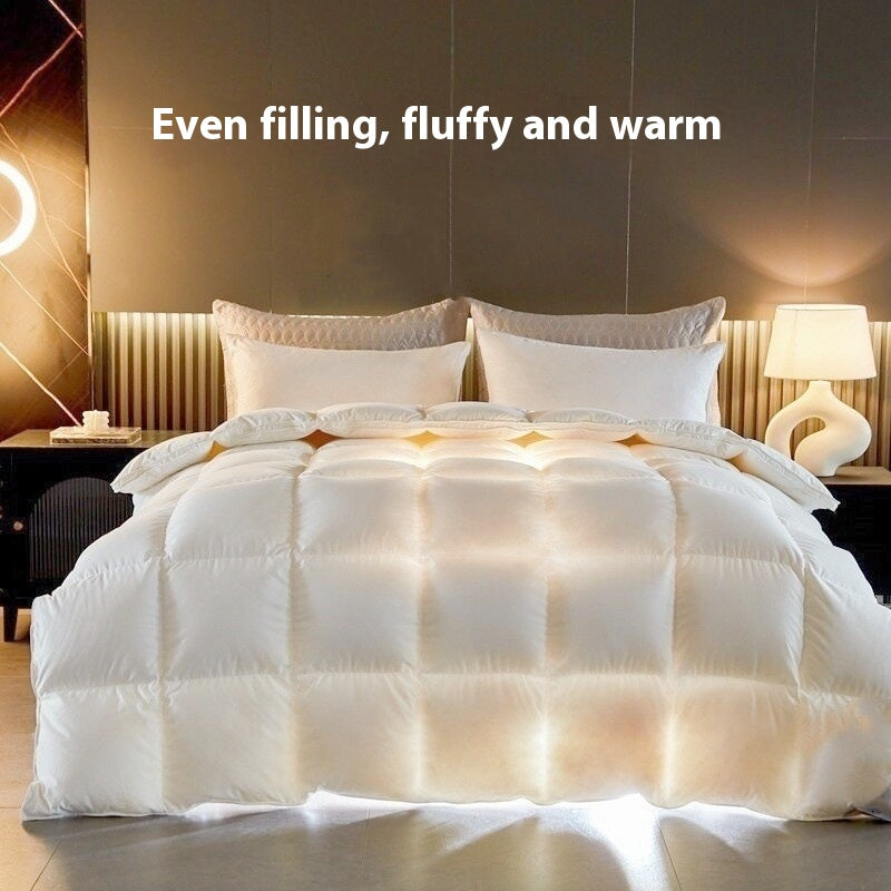 Cozy Quiet Satin Blanket Cold