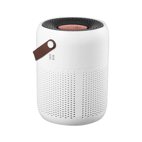 Air Purifier with True HEPA Filters Adjustable Modes Protable for Maroon Asteria