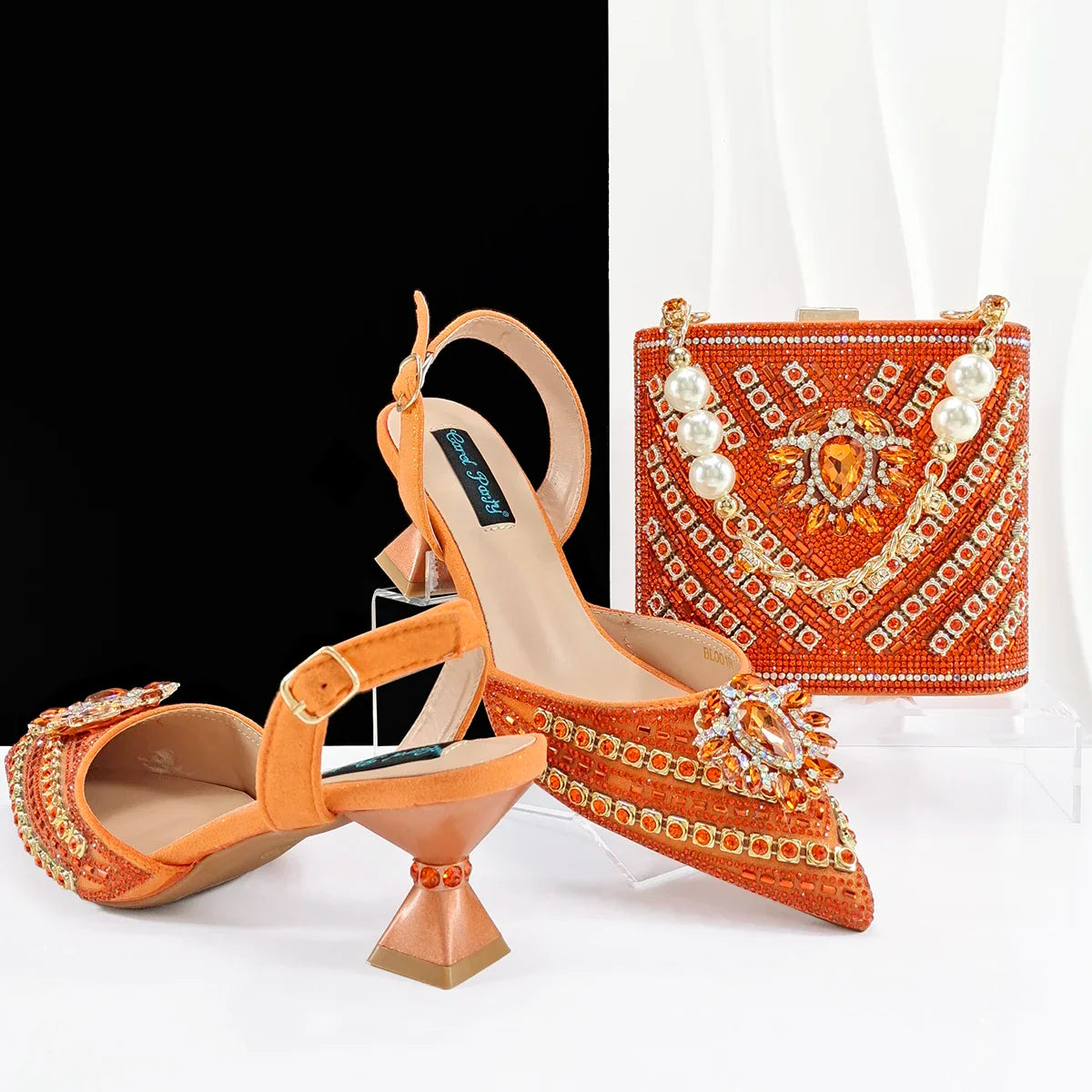 Hot Matching Women Shoe and Bag Set HFG1-1