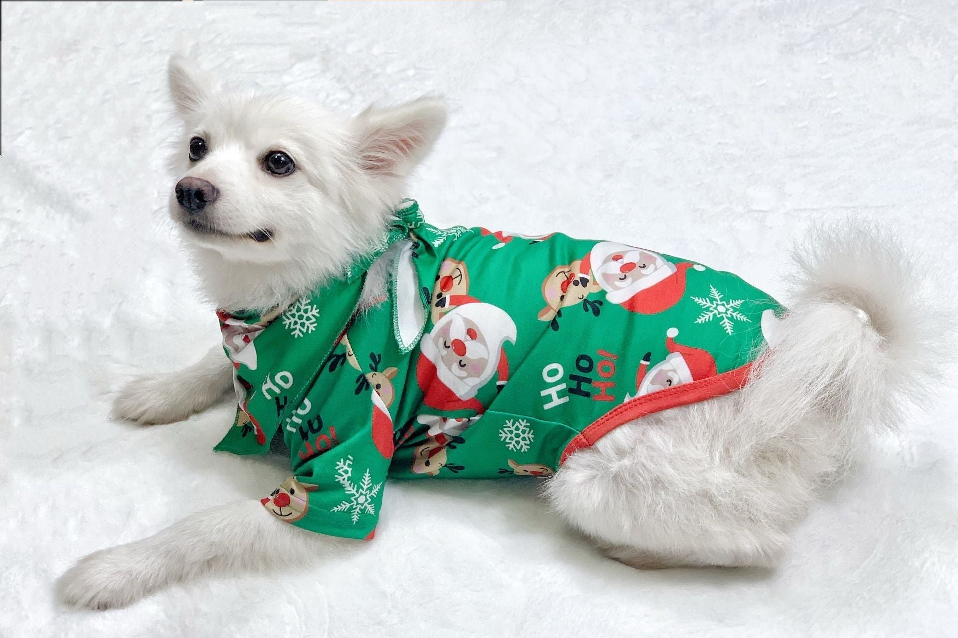 Family matching Christmas pajamas featuring Santa Claus and sleepwear by FitiqueFit, perfect for holiday family photos.