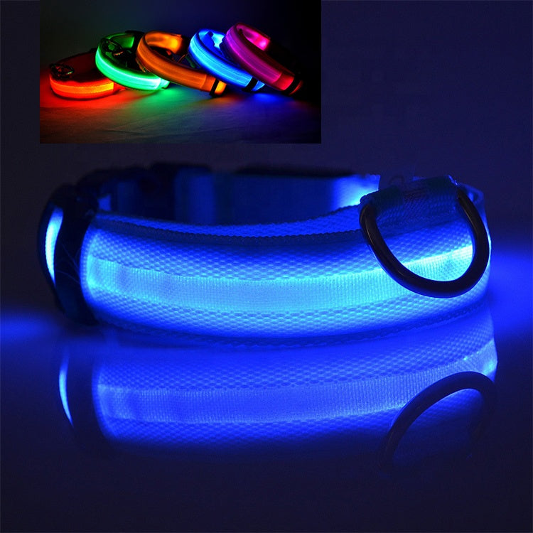 USB RECHARGEABLE LED PET DOG COLLAR Teal Zeus