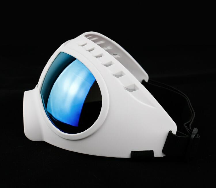 Pet sunglasses and helmet accessories by FLIPSTYLEZLLC, featuring stylish pet glasses and headwear for pets.