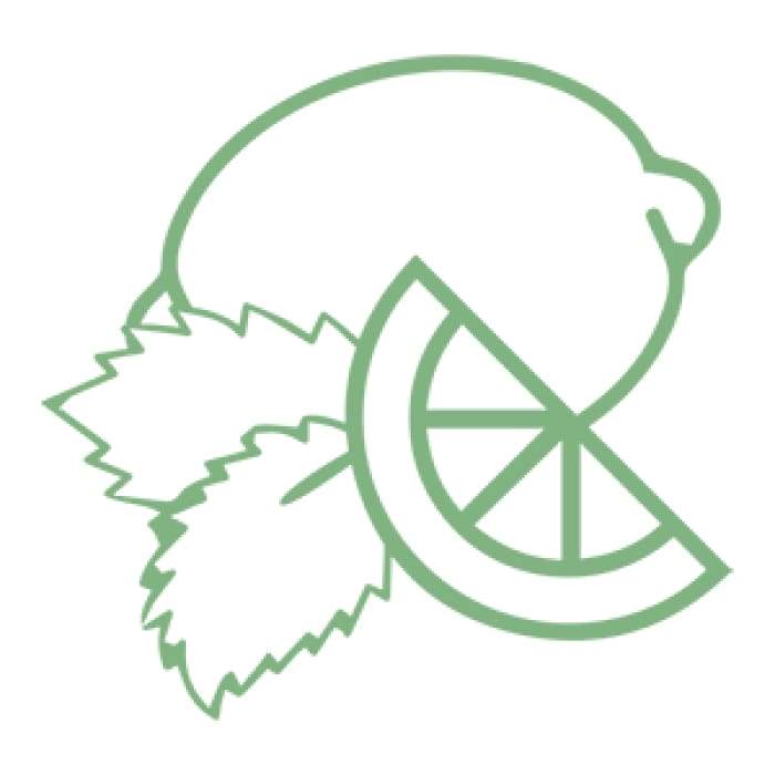 Foaming Essential Oil Hand Soap Refill Packet - Mojito Green Danae