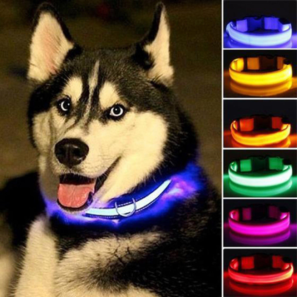 2 PCS Set Nylon LED Dog Collar Yellow Pandora