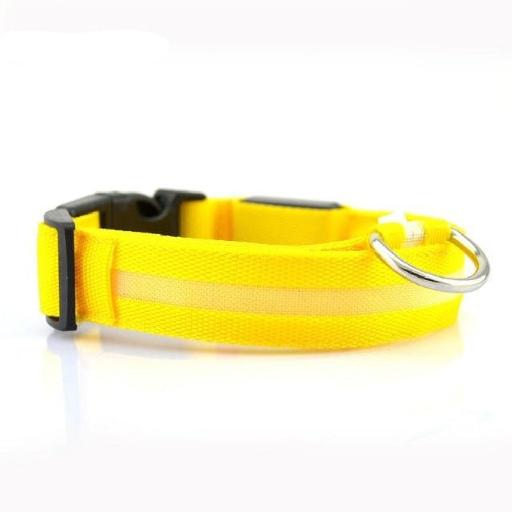 2 PCS Set Nylon LED Dog Collar Yellow Pandora