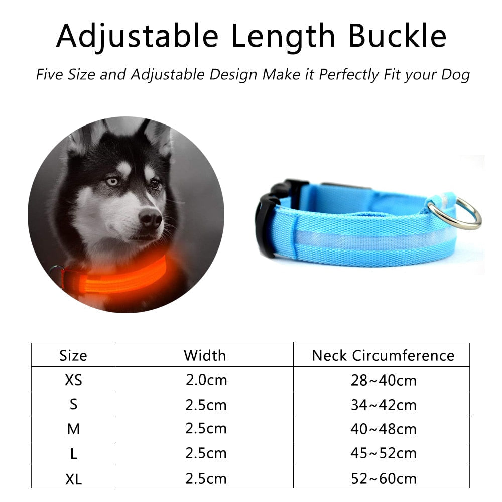 2 PCS Set Nylon LED Dog Collar Yellow Pandora
