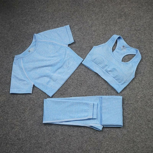 Fashion Designer Womens Yoga Suit Gym Sportswear Tracksuits Fitness Blue Charlie